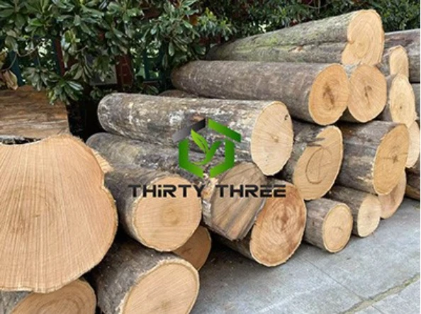 product-594-443